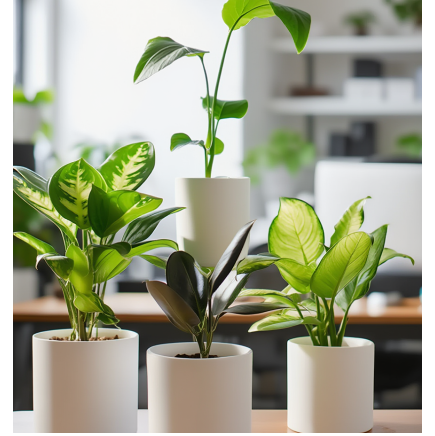 Potted plants on a table with a blurred indoor background