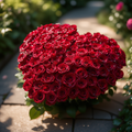 100 roses heart shape