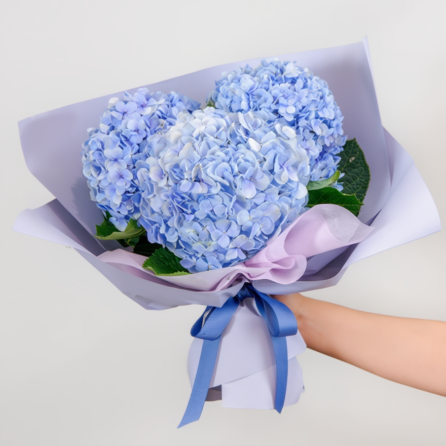 Bouquet of blue flowers wrapped in white paper with a pink ribbon, held by a hand on a light gray background.