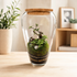 Bonsai Glass Jar Terrarium | Handmade Closed Terrarium Dubai