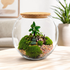 Handmade Zen Buddha bonsai terrarium in a round glass bowl with preserved moss, miniature plants, decorative pebbles, and a cork lid.