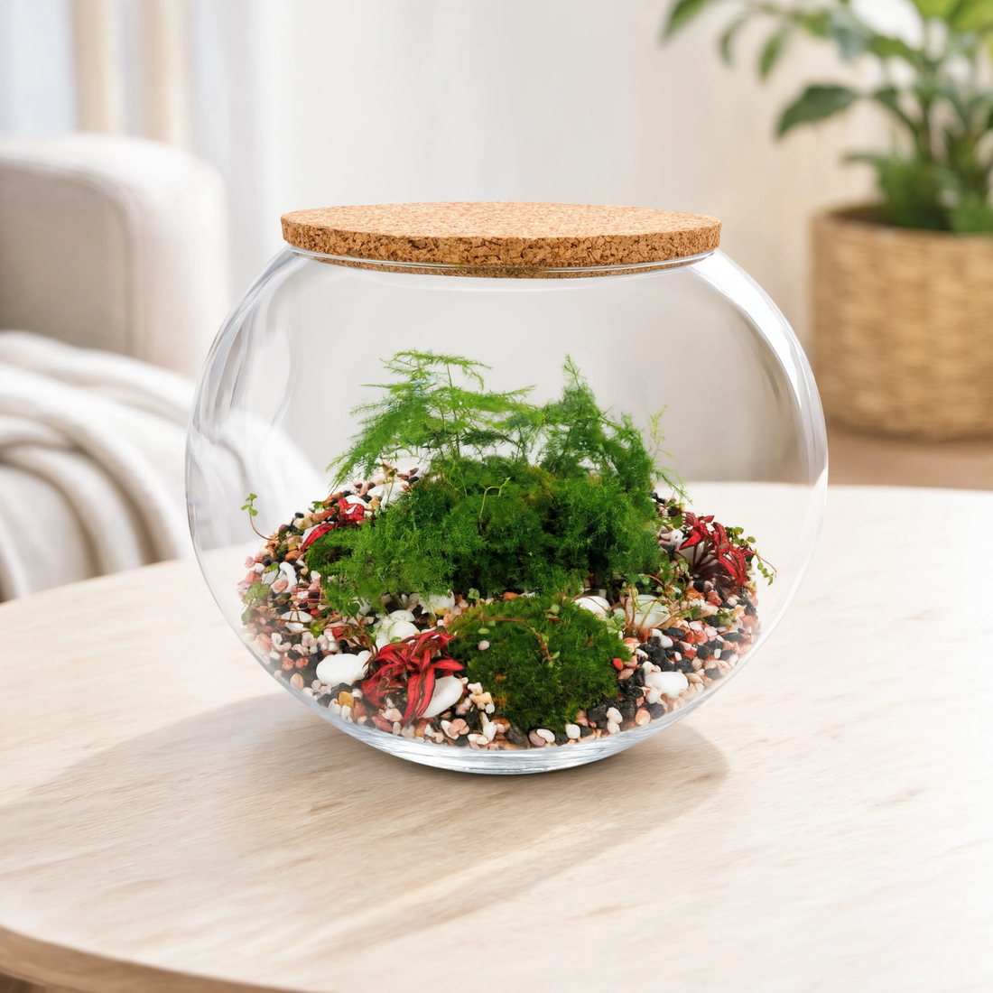 Handmade moss and fern glass bowl terrarium with decorative pebbles, preserved moss, lush green ferns, and cork lid for modern indoor décor.