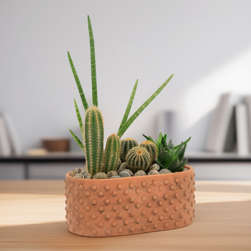 Cactus and Succulent Arrangement in Textured Ceramic Pot – Modern Indoor Tabletop Plant