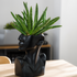 Black sculpture of a face with a green plant inside on a wooden surface.
