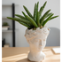 Potted plant in a decorative white vase on a wooden surface with a blurred background