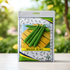 Kalash KSP 1565 F1 Hybrid Ridge Gourd seeds packet for growing long green ridge gourds in home gardens, trellises, greenhouses, and commercial vegetable farms.