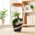 Handmade bonsai landscape terrarium in a tall glass vase with cork lid, featuring a miniature bonsai tree, moss, decorative white gravel, and layered soil.