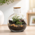 Handmade mini forest terrarium in a round glass bottle with cork lid featuring tropical plants, Fittonia, natural lava rocks, decorative pebbles, and rich planting soil.