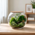 Handmade moss garden terrarium in a round glass bowl with cork lid featuring lush green moss, Fittonia, ornamental plants, and natural landscaping for indoor home décor.