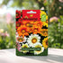 Agrimax Gazania Sunshine Mix flower seed packet with colorful daisy blooms – Nura Flowers Dubai