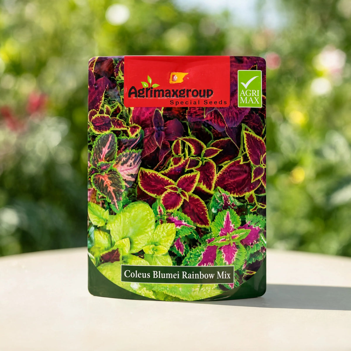 Coleus Blumei Rainbow Mix Seeds